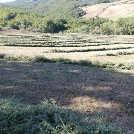 Вилла Casa A Montebello Di Bertona Con Vista Gran Sasso Экстерьер фото