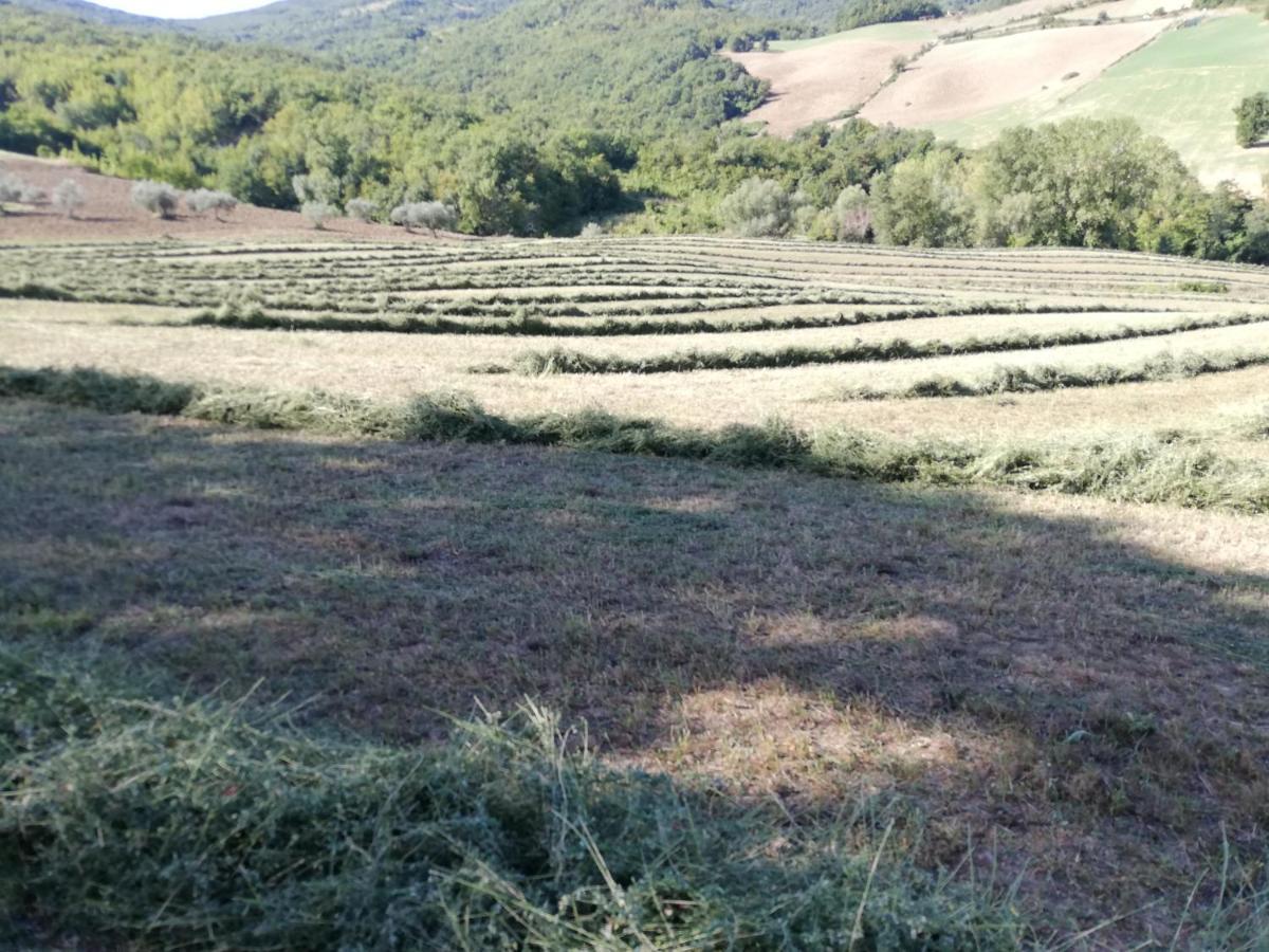 Вилла Casa A Montebello Di Bertona Con Vista Gran Sasso Экстерьер фото