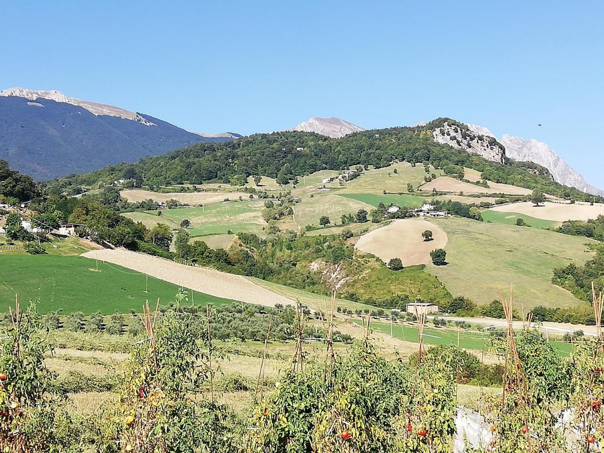 Вилла Casa A Montebello Di Bertona Con Vista Gran Sasso Экстерьер фото