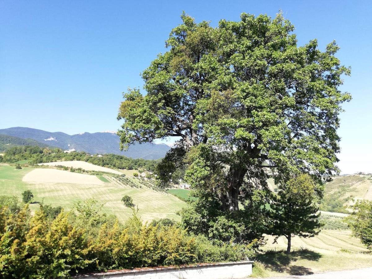 Вилла Casa A Montebello Di Bertona Con Vista Gran Sasso Экстерьер фото